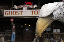 Ghost Town