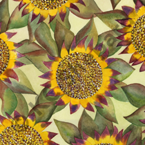 Textile Design