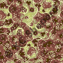Textile Design