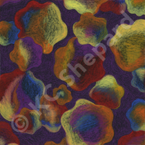 Textile Design