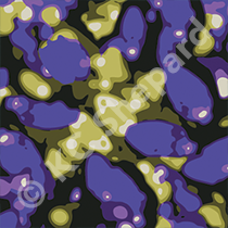Textile Design