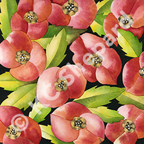 Textile Design