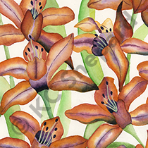 Textile Design
