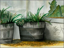 Early Watercolor